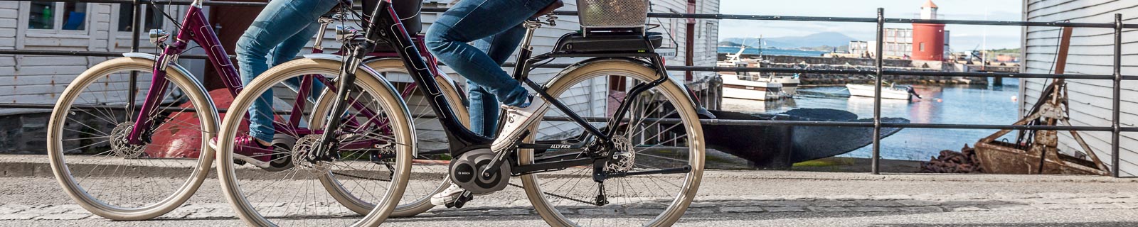 Tiefeinsteiger-E-Bike-Trekkingrad-2025