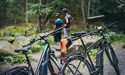 Im Vordergrund sind zwei Trekkingräder zu sehen, dahinter zwei Fahrradfahrer, welche den Wald betrachten.