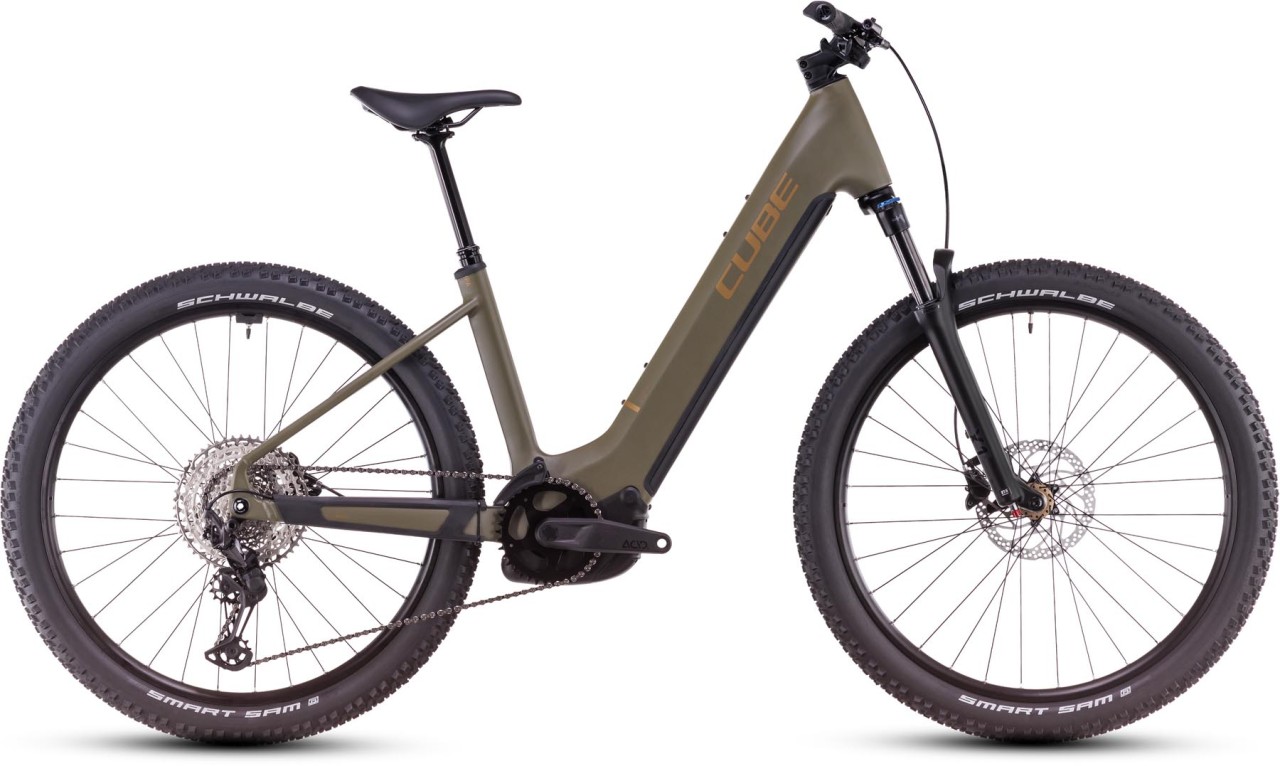 Cube Reaction Hybrid Pro dustyolive n gold - E-Bike Hardtail Mountainbike Tiefeinsteiger